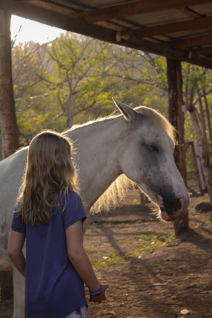 Happy Horses 8